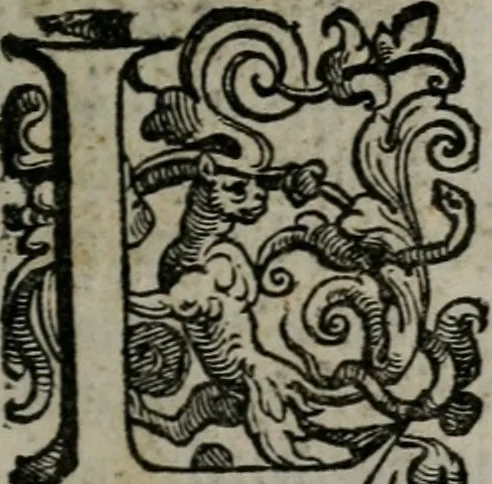 An illustration from Vaticinia, siue Prophetiae abbatis Ioachimi & Anselmi episcopi Marsicani : cum imaginibus aere incisis, correctione et pulcritudine, plurium manuscriptorum exemplariu[m] op[er]e, et uariaru[m] imaginu[m] tabulis, et delineationibu[s], alijs ante hac impressis longè praestantiora : quibus Rota, et Oraculum turcicum maxime considerationis adiecta sunt : vnà cum praefatione, et adnotationibus Paschalini Regiselmi = Vaticinii, ouero Profetie dell'abbate Gioachino, & di Anselmo vescouo di Marsico : con l'imagini intagliate in rame, di correttione, et uaghezza maggiore, che gl'atri sin' hora stampati, per l'aggiuto di molti exemplari scritti à penna, et per le pitture, et disegni di uarie imagini : à qualli è aggionta una Ruota, et un' oracolo Turchesco di grandissima co[n]sideratione : insieme con la prefatione, et annotationi di Pasqualino Regiselmo, 1589, leaf 28