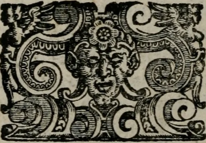 An illustration from Vaticinia, siue Prophetiae abbatis Ioachimi & Anselmi episcopi Marsicani : cum imaginibus aere incisis, correctione et pulcritudine, plurium manuscriptorum exemplariu[m] op[er]e, et uariaru[m] imaginu[m] tabulis, et delineationibu[s], alijs ante hac impressis longè praestantiora : quibus Rota, et Oraculum turcicum maxime considerationis adiecta sunt : vnà cum praefatione, et adnotationibus Paschalini Regiselmi = Vaticinii, ouero Profetie dell'abbate Gioachino, & di Anselmo vescouo di Marsico : con l'imagini intagliate in rame, di correttione, et uaghezza maggiore, che gl'atri sin' hora stampati, per l'aggiuto di molti exemplari scritti à penna, et per le pitture, et disegni di uarie imagini : à qualli è aggionta una Ruota, et un' oracolo Turchesco di grandissima co[n]sideratione : insieme con la prefatione, et annotationi di Pasqualino Regiselmo, 1589, leaf 35