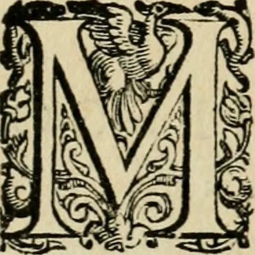 An illustration from Vaticinia, siue, Prophetiae abbatis Joachimi & Anselmi episcopi Marsicani : cum imaginibus aere incisis, correctione et pulcritudine, plurium manuscriptorum exemplariu op[er]e ... : qvibvs rota et oraculum turcicum maxime considerationis adiecta sunt : vna cum praefatione et adnotationibus Paschalini Regiselmi = Vaticinii, ouero, Profetie dell'abbate Gioachino & di Anselmo vescovo di Marsico .., 1589, leaf 101
