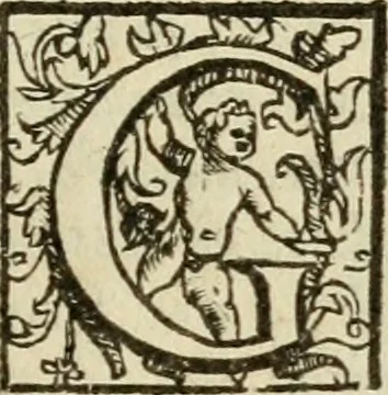 An illustration from Vaticinia, siue, Prophetiae abbatis Joachimi & Anselmi episcopi Marsicani : cum imaginibus aere incisis, correctione et pulcritudine, plurium manuscriptorum exemplariu op[er]e ... : qvibvs rota et oraculum turcicum maxime considerationis adiecta sunt : vna cum praefatione et adnotationibus Paschalini Regiselmi = Vaticinii, ouero, Profetie dell'abbate Gioachino & di Anselmo vescovo di Marsico .., 1589, leaf 138