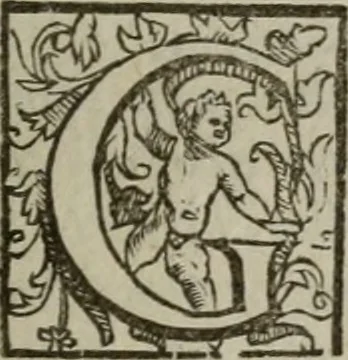 An illustration from Vaticinia, siue Prophetiae Abbatis Ioachimi, & Anselmi Episcopi Marsicani : cum imaginibus aere incisis, correctione, et pulcritudine, plurium manuscriptorum exemplariu[m] op[er]e, et uariu[m] imaginu[m] tabulis, et delineationibu[s] alijs antehac impressis longè praestantiora; quibus rota, et oraculum Turcicum maxime considerationis adiecta sunt, 1600, leaf 136
