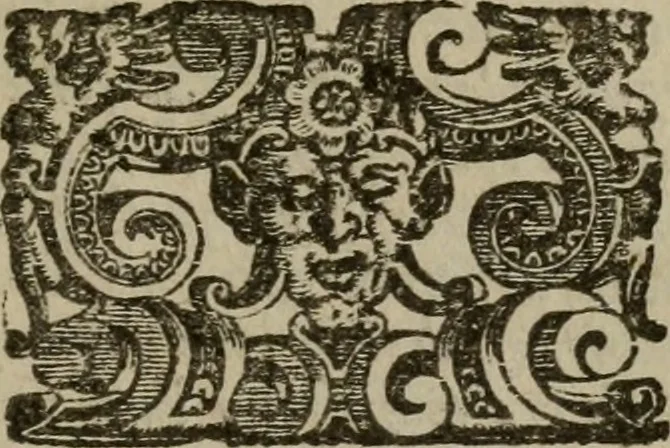 An illustration from Vaticinia, siue Prophetiae Abbatis Ioachimi, & Anselmi Episcopi Marsicani : cum imaginibus aere incisis, correctione, et pulcritudine, plurium manuscriptorum exemplariu[m] op[er]e, et uariu[m] imaginu[m] tabulis, et delineationibu[s] alijs antehac impressis longè praestantiora; quibus rota, et oraculum Turcicum maxime considerationis adiecta sunt, 1600, leaf 138