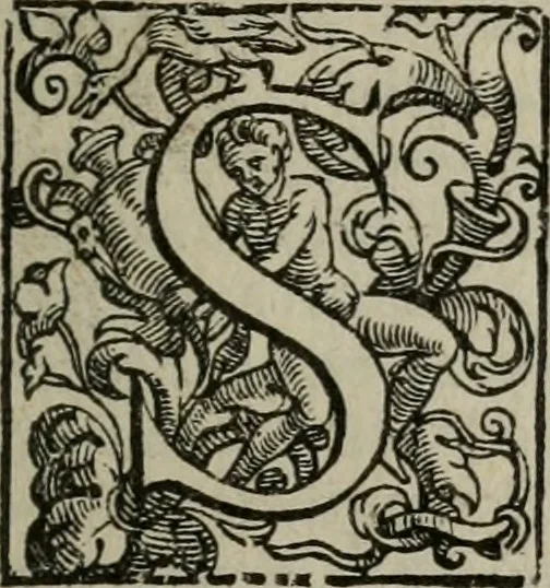 An illustration from Vaticinia, siue Prophetiae Abbatis Ioachimi, & Anselmi Episcopi Marsicani : cum imaginibus aere incisis, correctione, et pulcritudine, plurium manuscriptorum exemplariu[m] op[er]e, et uariu[m] imaginu[m] tabulis, et delineationibu[s] alijs antehac impressis longè praestantiora; quibus rota, et oraculum Turcicum maxime considerationis adiecta sunt, 1600, leaf 14