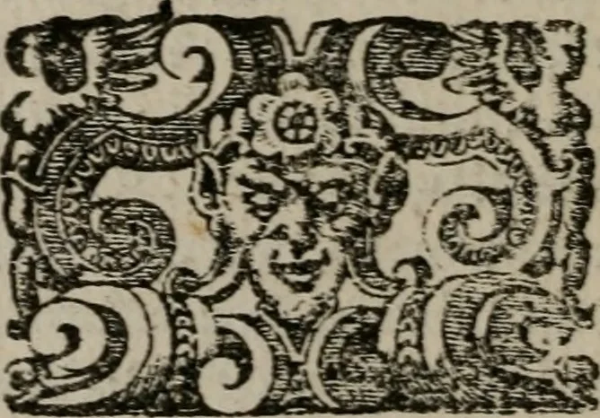 An illustration from Vaticinia, siue Prophetiae Abbatis Ioachimi, & Anselmi Episcopi Marsicani : cum imaginibus aere incisis, correctione, et pulcritudine, plurium manuscriptorum exemplariu[m] op[er]e, et uariu[m] imaginu[m] tabulis, et delineationibu[s] alijs antehac impressis longè praestantiora; quibus rota, et oraculum Turcicum maxime considerationis adiecta sunt, 1600, leaf 33