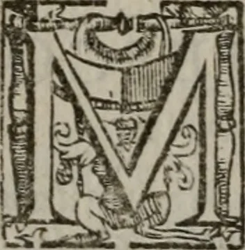An illustration from Vaticinia, siue Prophetiae Abbatis Ioachimi, & Anselmi Episcopi Marsicani : cum imaginibus aere incisis, correctione, et pulcritudine, plurium manuscriptorum exemplariu[m] op[er]e, et uariu[m] imaginu[m] tabulis, et delineationibu[s] alijs antehac impressis longè praestantiora; quibus rota, et oraculum Turcicum maxime considerationis adiecta sunt, 1600, leaf 99