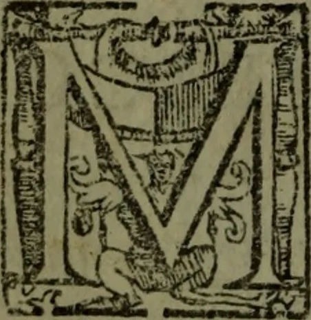 An illustration from Vaticinia, sive, Prophetiae Abbatis Ioachimi, [and] Anselmi Episcopi Marsicani; cum imaginibus aere incisis, correctione, et pulcritudine, plurium manuscriptorum exemplari ope, et variar imagin tabulis, et delineationibù, aliis antehac impressis longè praestantiora; quibus Rota, et Oraculum Turcicum maxime considerationis adiecta sunt; una cum praefatione et adnotationibus Paschalini Regiselmi, 1600, leaf 101