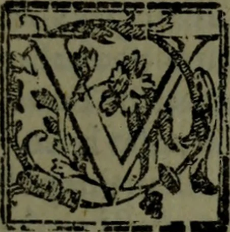 An illustration from Vaticinia, sive, Prophetiae Abbatis Ioachimi, [and] Anselmi Episcopi Marsicani; cum imaginibus aere incisis, correctione, et pulcritudine, plurium manuscriptorum exemplari ope, et variar imagin tabulis, et delineationibù, aliis antehac impressis longè praestantiora; quibus Rota, et Oraculum Turcicum maxime considerationis adiecta sunt; una cum praefatione et adnotationibus Paschalini Regiselmi, 1600, leaf 118
