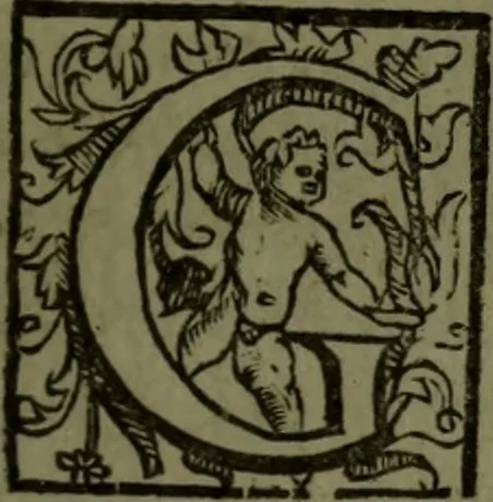 An illustration from Vaticinia, sive, Prophetiae Abbatis Ioachimi, [and] Anselmi Episcopi Marsicani; cum imaginibus aere incisis, correctione, et pulcritudine, plurium manuscriptorum exemplari ope, et variar imagin tabulis, et delineationibù, aliis antehac impressis longè praestantiora; quibus Rota, et Oraculum Turcicum maxime considerationis adiecta sunt; una cum praefatione et adnotationibus Paschalini Regiselmi, 1600, leaf 138