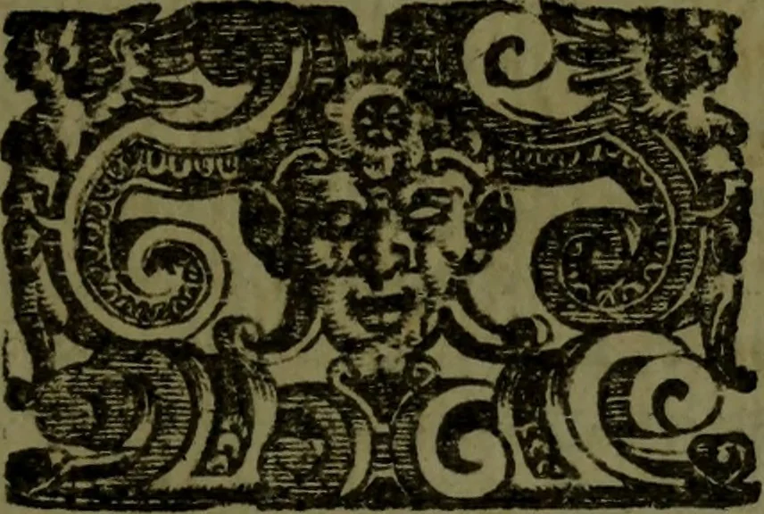 An illustration from Vaticinia, sive, Prophetiae Abbatis Ioachimi, [and] Anselmi Episcopi Marsicani; cum imaginibus aere incisis, correctione, et pulcritudine, plurium manuscriptorum exemplari ope, et variar imagin tabulis, et delineationibù, aliis antehac impressis longè praestantiora; quibus Rota, et Oraculum Turcicum maxime considerationis adiecta sunt; una cum praefatione et adnotationibus Paschalini Regiselmi, 1600, leaf 140