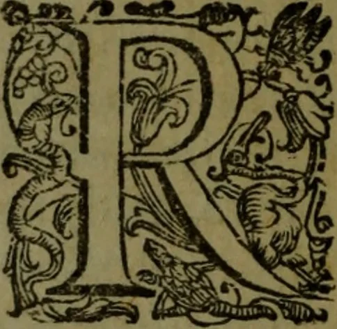 An illustration from Vaticinia, sive, Prophetiae Abbatis Ioachimi, [and] Anselmi Episcopi Marsicani; cum imaginibus aere incisis, correctione, et pulcritudine, plurium manuscriptorum exemplari ope, et variar imagin tabulis, et delineationibù, aliis antehac impressis longè praestantiora; quibus Rota, et Oraculum Turcicum maxime considerationis adiecta sunt; una cum praefatione et adnotationibus Paschalini Regiselmi, 1600, leaf 141