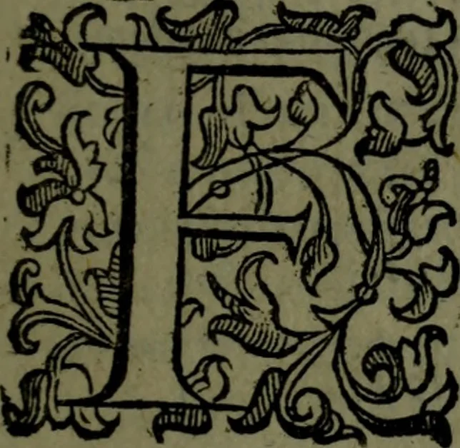 An illustration from Vaticinia, sive, Prophetiae Abbatis Ioachimi, [and] Anselmi Episcopi Marsicani; cum imaginibus aere incisis, correctione, et pulcritudine, plurium manuscriptorum exemplari ope, et variar imagin tabulis, et delineationibù, aliis antehac impressis longè praestantiora; quibus Rota, et Oraculum Turcicum maxime considerationis adiecta sunt; una cum praefatione et adnotationibus Paschalini Regiselmi, 1600, leaf 150