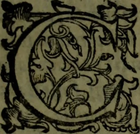 An illustration from Vaticinia, sive, Prophetiae Abbatis Ioachimi, [and] Anselmi Episcopi Marsicani; cum imaginibus aere incisis, correctione, et pulcritudine, plurium manuscriptorum exemplari ope, et variar imagin tabulis, et delineationibù, aliis antehac impressis longè praestantiora; quibus Rota, et Oraculum Turcicum maxime considerationis adiecta sunt; una cum praefatione et adnotationibus Paschalini Regiselmi, 1600, leaf 152
