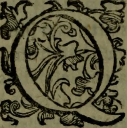 An illustration from Vaticinia, sive, Prophetiae Abbatis Ioachimi, [and] Anselmi Episcopi Marsicani; cum imaginibus aere incisis, correctione, et pulcritudine, plurium manuscriptorum exemplari ope, et variar imagin tabulis, et delineationibù, aliis antehac impressis longè praestantiora; quibus Rota, et Oraculum Turcicum maxime considerationis adiecta sunt; una cum praefatione et adnotationibus Paschalini Regiselmi, 1600, leaf 153