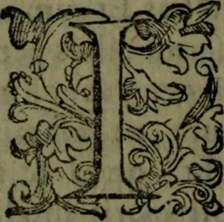 An illustration from Vaticinia, sive, Prophetiae Abbatis Ioachimi, [and] Anselmi Episcopi Marsicani; cum imaginibus aere incisis, correctione, et pulcritudine, plurium manuscriptorum exemplari ope, et variar imagin tabulis, et delineationibù, aliis antehac impressis longè praestantiora; quibus Rota, et Oraculum Turcicum maxime considerationis adiecta sunt; una cum praefatione et adnotationibus Paschalini Regiselmi, 1600, leaf 155