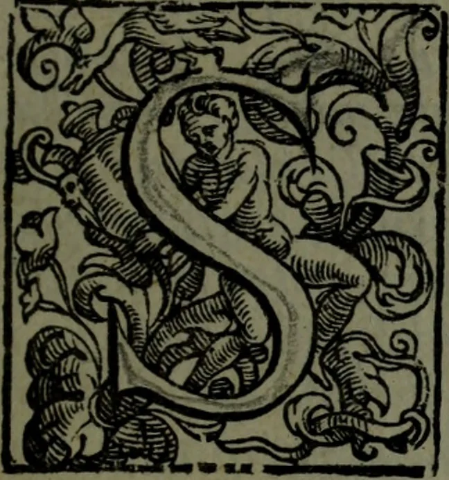 An illustration from Vaticinia, sive, Prophetiae Abbatis Ioachimi, [and] Anselmi Episcopi Marsicani; cum imaginibus aere incisis, correctione, et pulcritudine, plurium manuscriptorum exemplari ope, et variar imagin tabulis, et delineationibù, aliis antehac impressis longè praestantiora; quibus Rota, et Oraculum Turcicum maxime considerationis adiecta sunt; una cum praefatione et adnotationibus Paschalini Regiselmi, 1600, leaf 16