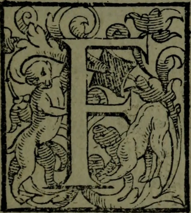 An illustration from Vaticinia, sive, Prophetiae Abbatis Ioachimi, [and] Anselmi Episcopi Marsicani; cum imaginibus aere incisis, correctione, et pulcritudine, plurium manuscriptorum exemplari ope, et variar imagin tabulis, et delineationibù, aliis antehac impressis longè praestantiora; quibus Rota, et Oraculum Turcicum maxime considerationis adiecta sunt; una cum praefatione et adnotationibus Paschalini Regiselmi, 1600, leaf 20