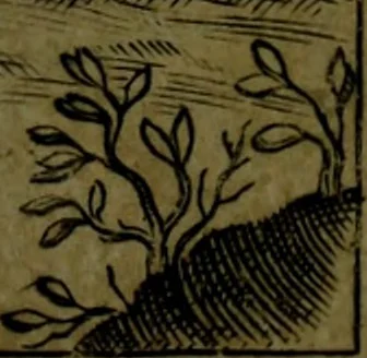 An illustration from Vaticinia, sive, Prophetiae Abbatis Ioachimi, [and] Anselmi Episcopi Marsicani; cum imaginibus aere incisis, correctione, et pulcritudine, plurium manuscriptorum exemplari ope, et variar imagin tabulis, et delineationibù, aliis antehac impressis longè praestantiora; quibus Rota, et Oraculum Turcicum maxime considerationis adiecta sunt; una cum praefatione et adnotationibus Paschalini Regiselmi, 1600, leaf 4