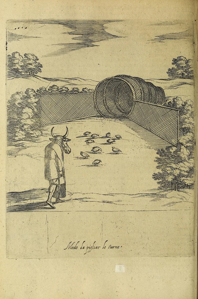 An illustration from Vccelliera, overo, Discorso della natvra, e proprieta di diversi vccelli : e in particolare di qve'che cantano : con il modo di prendergli, conoscergli, alleuargli, e mantenergli : e con le figure cauate dal vero, e diligentemente intagliate in rame dal Tempesta, e dal Villamena, 1622, leaf 126