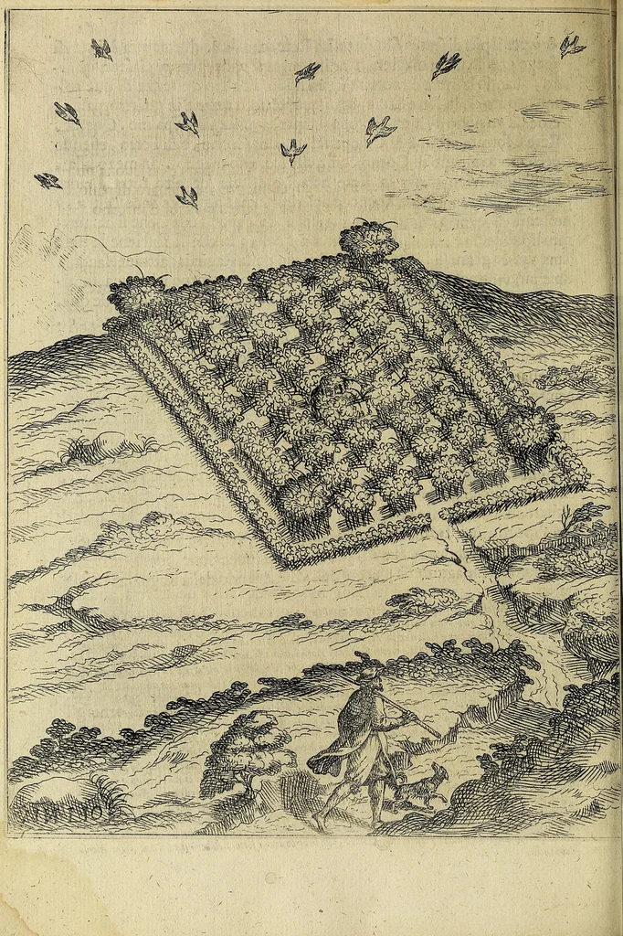 An illustration from Vccelliera, overo, Discorso della natvra, e proprieta di diversi vccelli : e in particolare di qve'che cantano : con il modo di prendergli, conoscergli, alleuargli, e mantenergli : e con le figure cauate dal vero, e diligentemente intagliate in rame dal Tempesta, e dal Villamena, 1622, leaf 138