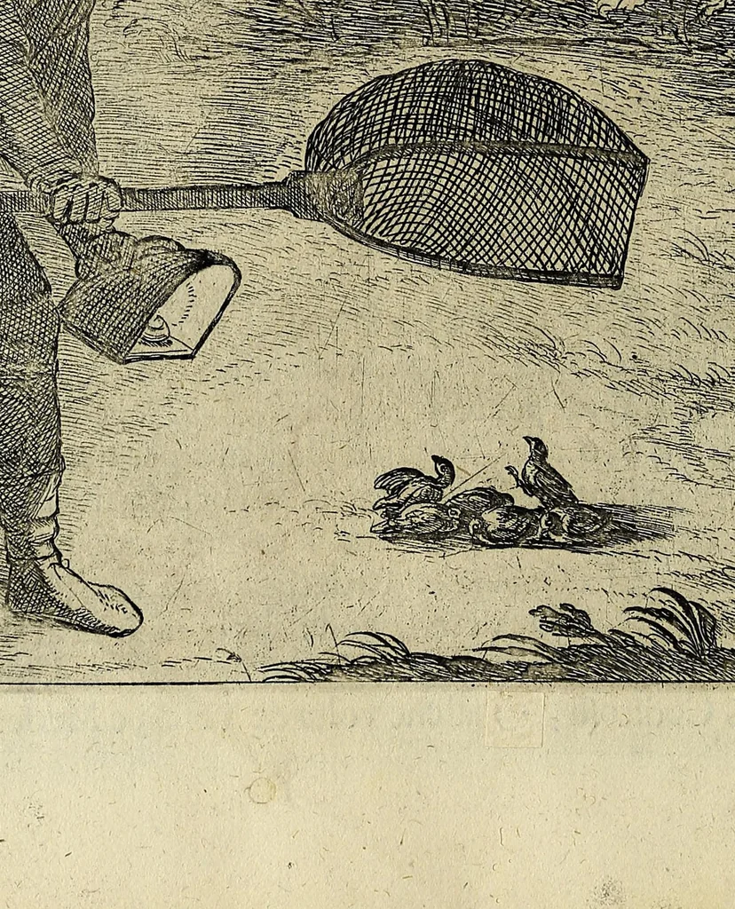 An illustration from Vccelliera, overo, Discorso della natvra, e proprieta di diversi vccelli : e in particolare di qve'che cantano : con il modo di prendergli, conoscergli, alleuargli, e mantenergli : e con le figure cauate dal vero, e diligentemente intagliate in rame dal Tempesta, e dal Villamena, 1622, leaf 142