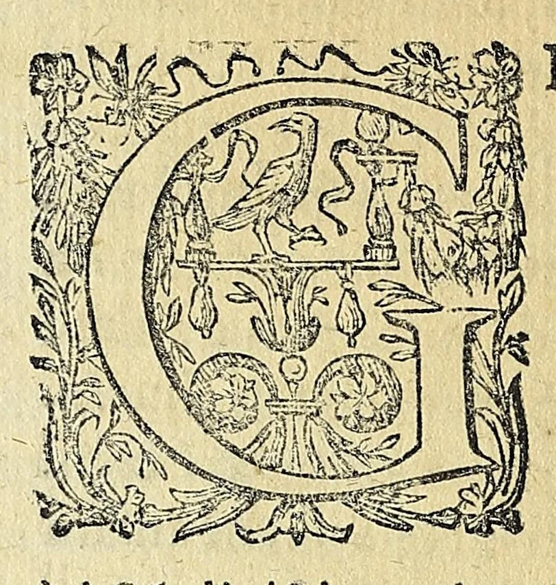 An illustration from Vccelliera, overo, Discorso della natvra, e proprieta di diversi vccelli : e in particolare di qve'che cantano : con il modo di prendergli, conoscergli, alleuargli, e mantenergli : e con le figure cauate dal vero, e diligentemente intagliate in rame dal Tempesta, e dal Villamena, 1622, leaf 154