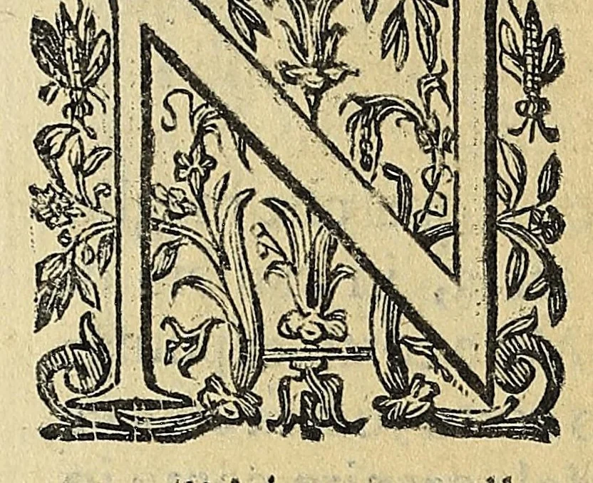 An illustration from Vccelliera, overo, Discorso della natvra, e proprieta di diversi vccelli : e in particolare di qve'che cantano : con il modo di prendergli, conoscergli, alleuargli, e mantenergli : e con le figure cauate dal vero, e diligentemente intagliate in rame dal Tempesta, e dal Villamena, 1622, leaf 160