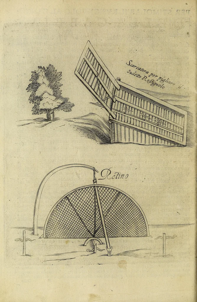 An illustration from Vccelliera, overo, Discorso della natvra, e proprieta di diversi vccelli : e in particolare di qve'che cantano : con il modo di prendergli, conoscergli, alleuargli, e mantenergli : e con le figure cauate dal vero, e diligentemente intagliate in rame dal Tempesta, e dal Villamena, 1622, leaf 20