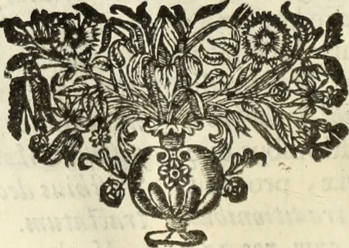 An illustration from V. Cl. D. Antonii de Sousa de Macedo ... Decisiones Supremi Senatus iustitiae Lusitaniae, & supremi consilij fisci ac patrimonij regij, cum grauissimis collegis decretae : triplici indice locupletatae, 1677, leaf 109