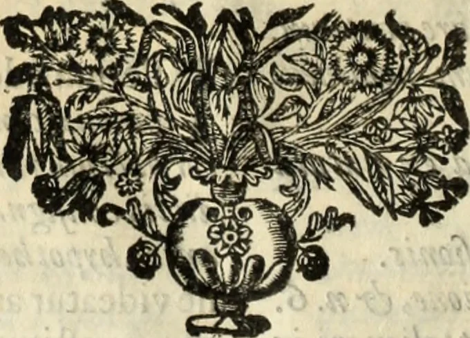 An illustration from V. Cl. D. Antonii de Sousa de Macedo ... Decisiones Supremi Senatus iustitiae Lusitaniae, & supremi consilij fisci ac patrimonij regij, cum grauissimis collegis decretae : triplici indice locupletatae, 1677, leaf 221