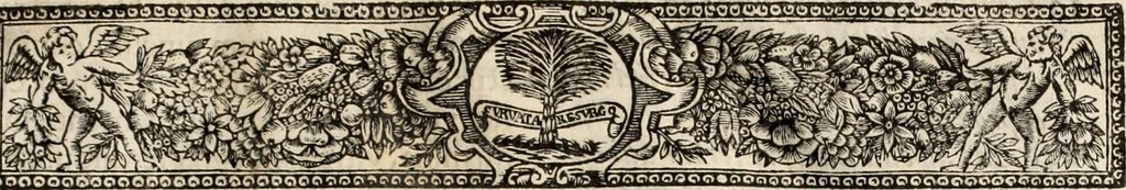An illustration from V. Cl. D. Antonii de Sousa de Macedo ... Decisiones Supremi Senatus iustitiae Lusitaniae, & supremi consilij fisci ac patrimonij regij, cum grauissimis collegis decretae : triplici indice locupletatae, 1677, leaf 24
