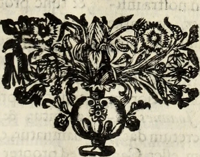 An illustration from V. Cl. D. Antonii de Sousa de Macedo ... Decisiones Supremi Senatus iustitiae Lusitaniae, & supremi consilij fisci ac patrimonij regij, cum grauissimis collegis decretae : triplici indice locupletatae, 1677, leaf 248
