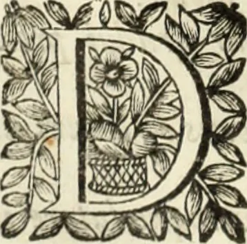 An illustration from V. Cl. D. Antonii de Sousa de Macedo ... Decisiones Supremi Senatus iustitiae Lusitaniae, & supremi consilij fisci ac patrimonij regij, cum grauissimis collegis decretae : triplici indice locupletatae, 1677, leaf 25