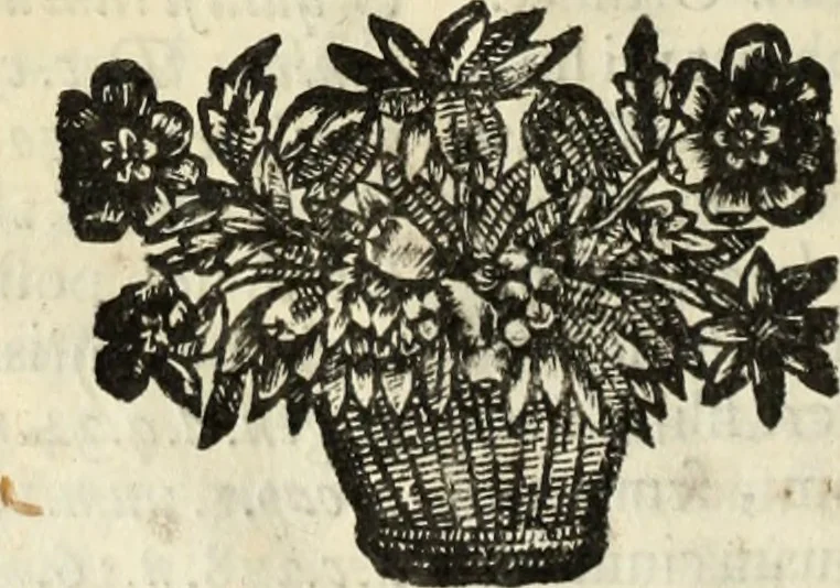 An illustration from V. Cl. D. Antonii de Sousa de Macedo ... Decisiones Supremi Senatus iustitiae Lusitaniae, & supremi consilij fisci ac patrimonij regij, cum grauissimis collegis decretae : triplici indice locupletatae, 1677, leaf 265