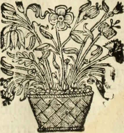 An illustration from V. Cl. D. Antonii de Sousa de Macedo ... Decisiones Supremi Senatus iustitiae Lusitaniae, & supremi consilij fisci ac patrimonij regij, cum grauissimis collegis decretae : triplici indice locupletatae, 1677, leaf 31