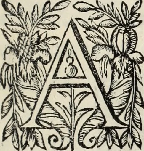 An illustration from V. Cl. D. Antonii de Sousa de Macedo ... Decisiones Supremi Senatus iustitiae Lusitaniae, & supremi consilij fisci ac patrimonij regij, cum grauissimis collegis decretae : triplici indice locupletatae, 1677, leaf 6