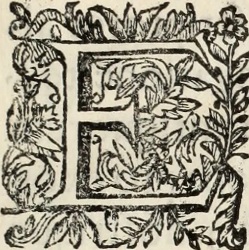 An illustration from V. Cl. D. Antonii de Sousa de Macedo ... Decisiones Supremi Senatus iustitiae Lusitaniae, & supremi consilij fisci ac patrimonij regij, cum grauissimis collegis decretae : triplici indice locupletatae, 1677, leaf 8