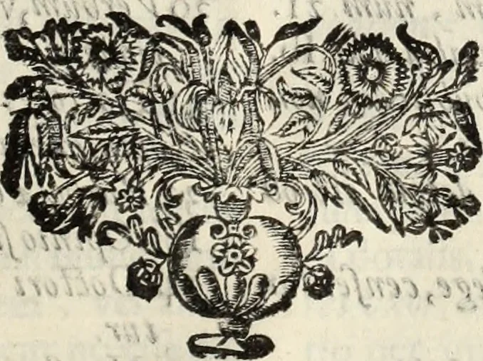 An illustration from V. Cl. D. Antonii de Sousa de Macedo ... Decisiones Supremi Senatus iustitiae Lusitaniae, & supremi consilij fisci ac patrimonij regij, cum grauissimis collegis decretae : triplici indice locupletatae, 1677, leaf 90