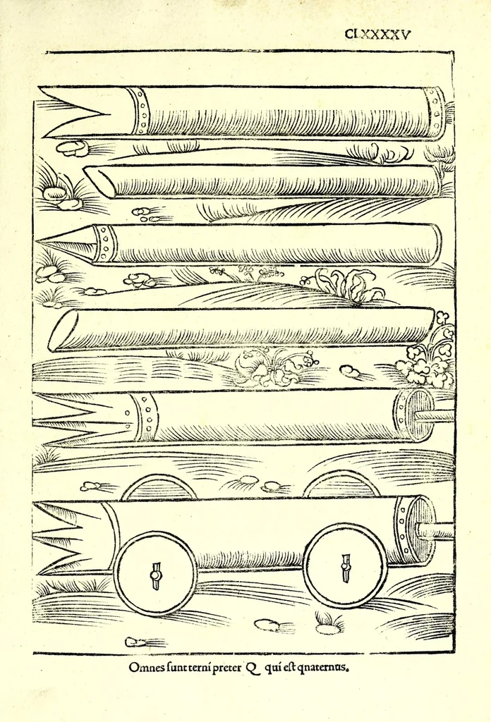 An illustration from Vegecivs De re miltari, 1511, leaf 199