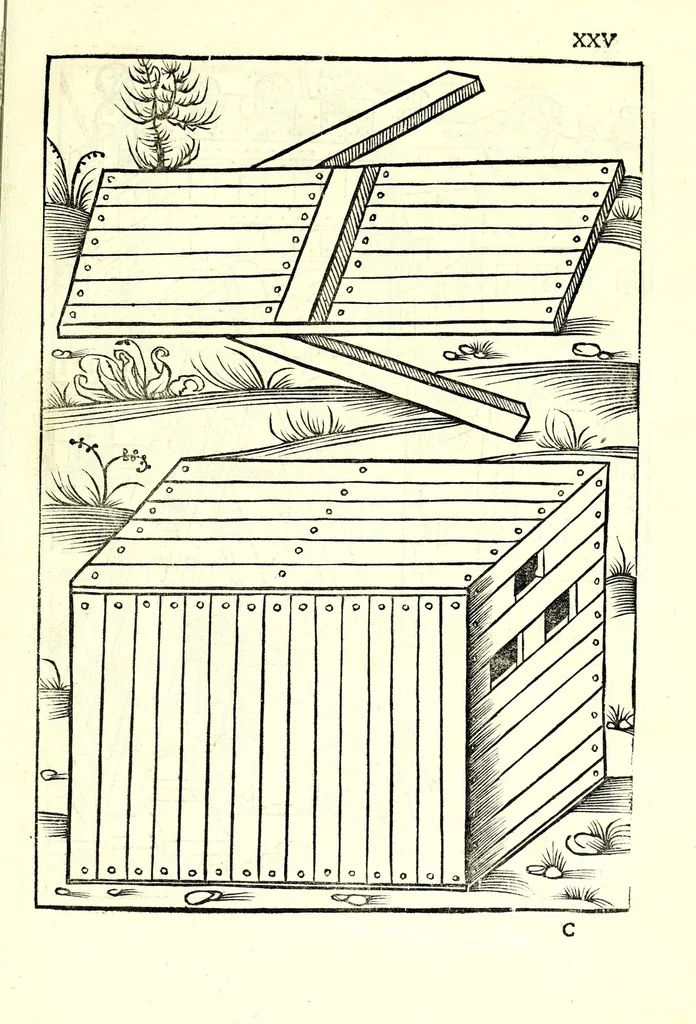 An illustration from Vegecivs De re miltari, 1511, leaf 29