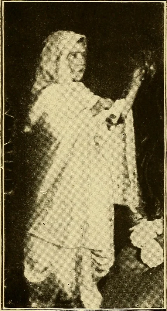 An illustration from The veil lifted. Modern developments of spirit photography. With twelve illustrations, 1894, leaf 164