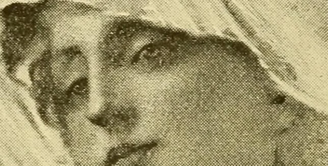 An illustration from The veil lifted. Modern developments of spirit photography. With twelve illustrations, 1894, leaf 5