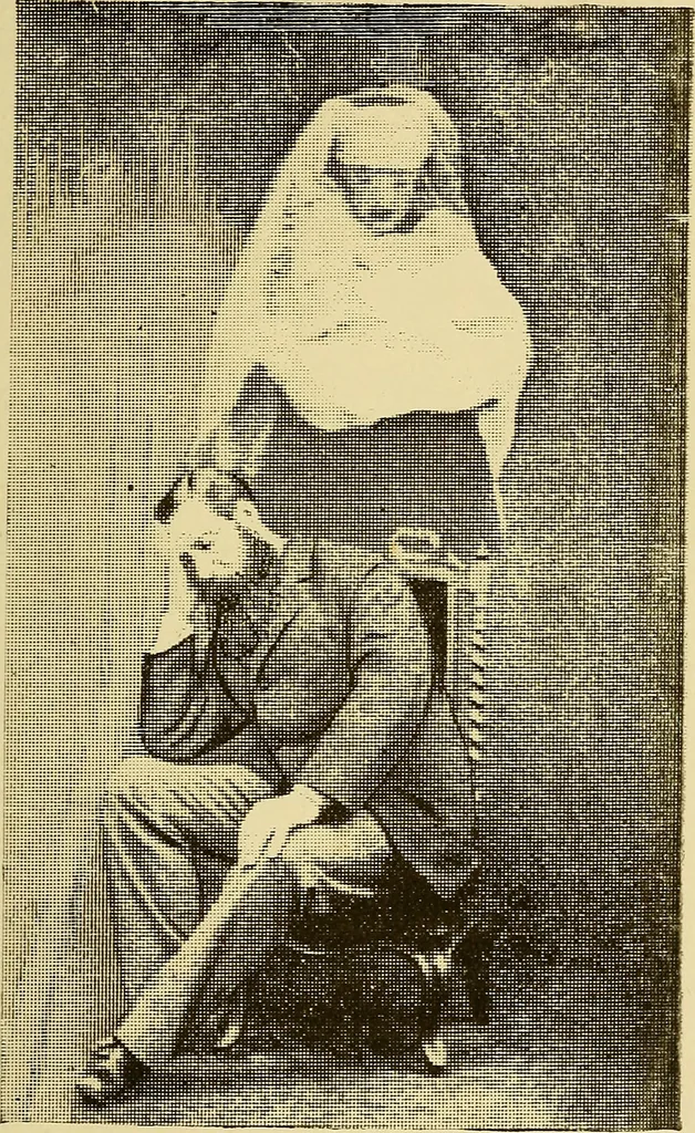 An illustration from The veil lifted. Modern developments of spirit photography. With twelve illustrations, 1894, leaf 98