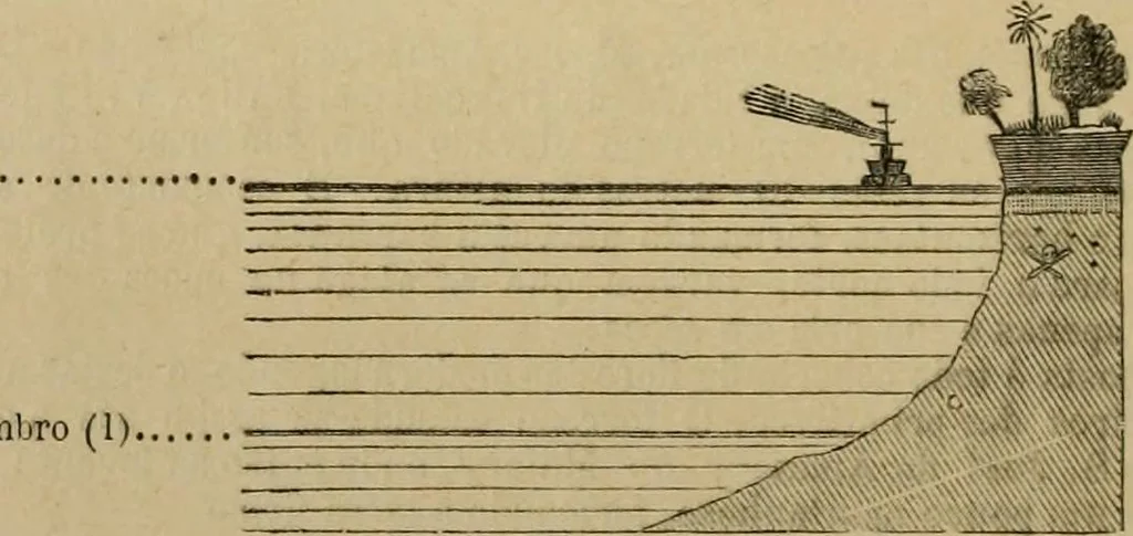An illustration from Vellosia, 1885, leaf 183