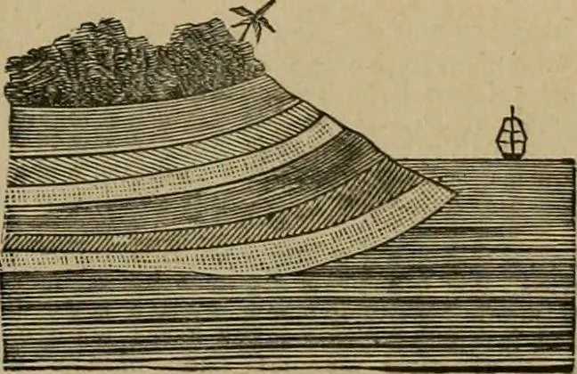 An illustration from Vellosia, 1885, leaf 187