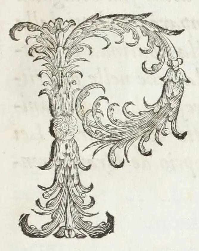 An illustration from Venaria Reale : palazzo di piacere, e di caccia, ideato dall'altezza reale di Carlo Emanvel II, duca di Sauoia, re di Cipro &c., 1674, leaf 17