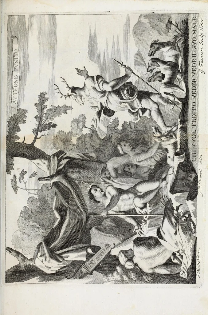 An illustration from Venaria Reale : palazzo di piacere, e di caccia, ideato dall'altezza reale di Carlo Emanvel II, duca di Sauoia, re di Cipro &c., 1674, leaf 215