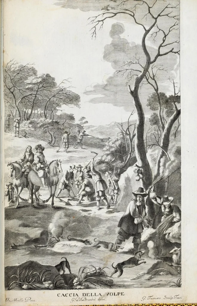 An illustration from Venaria Reale : palazzo di piacere, e di caccia, ideato dall'altezza reale di Carlo Emanvel II, duca di Sauoia, re di Cipro &c., 1674, leaf 265
