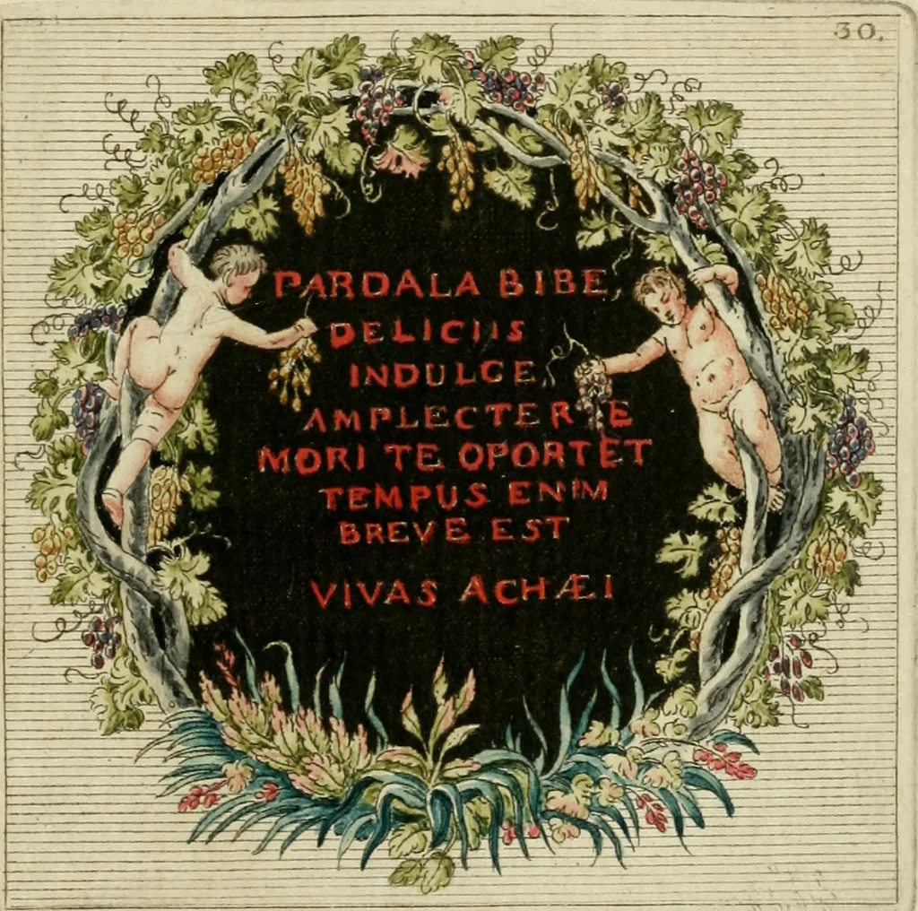 An illustration from Veneres uti observantur in gemmis antiquis, 1771, leaf 132