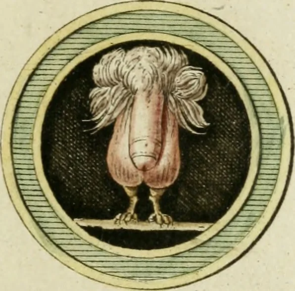 An illustration from Veneres uti observantur in gemmis antiquis, 1771, leaf 78