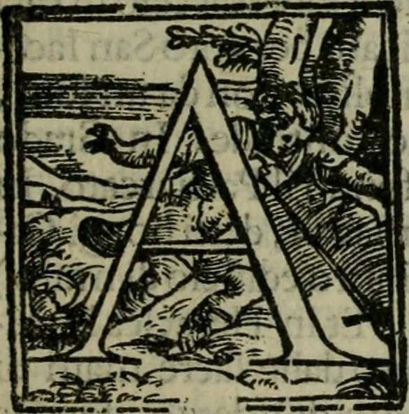 An illustration from Venetia, citta nobilissima et singolare, 1581, leaf 12